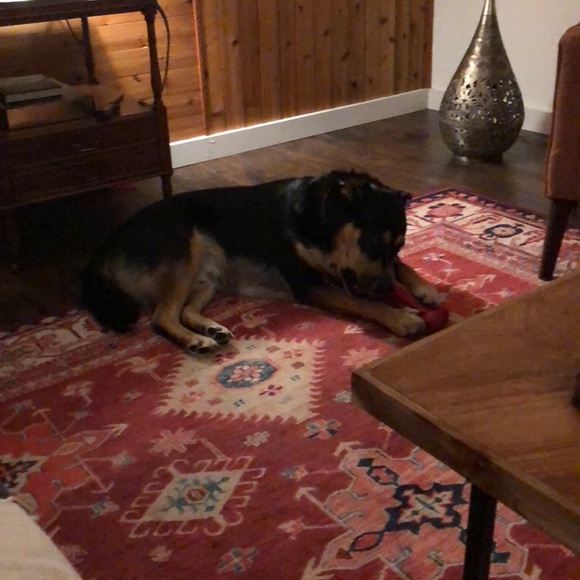 Meet your Posher, Jess - Picture 1 of 1